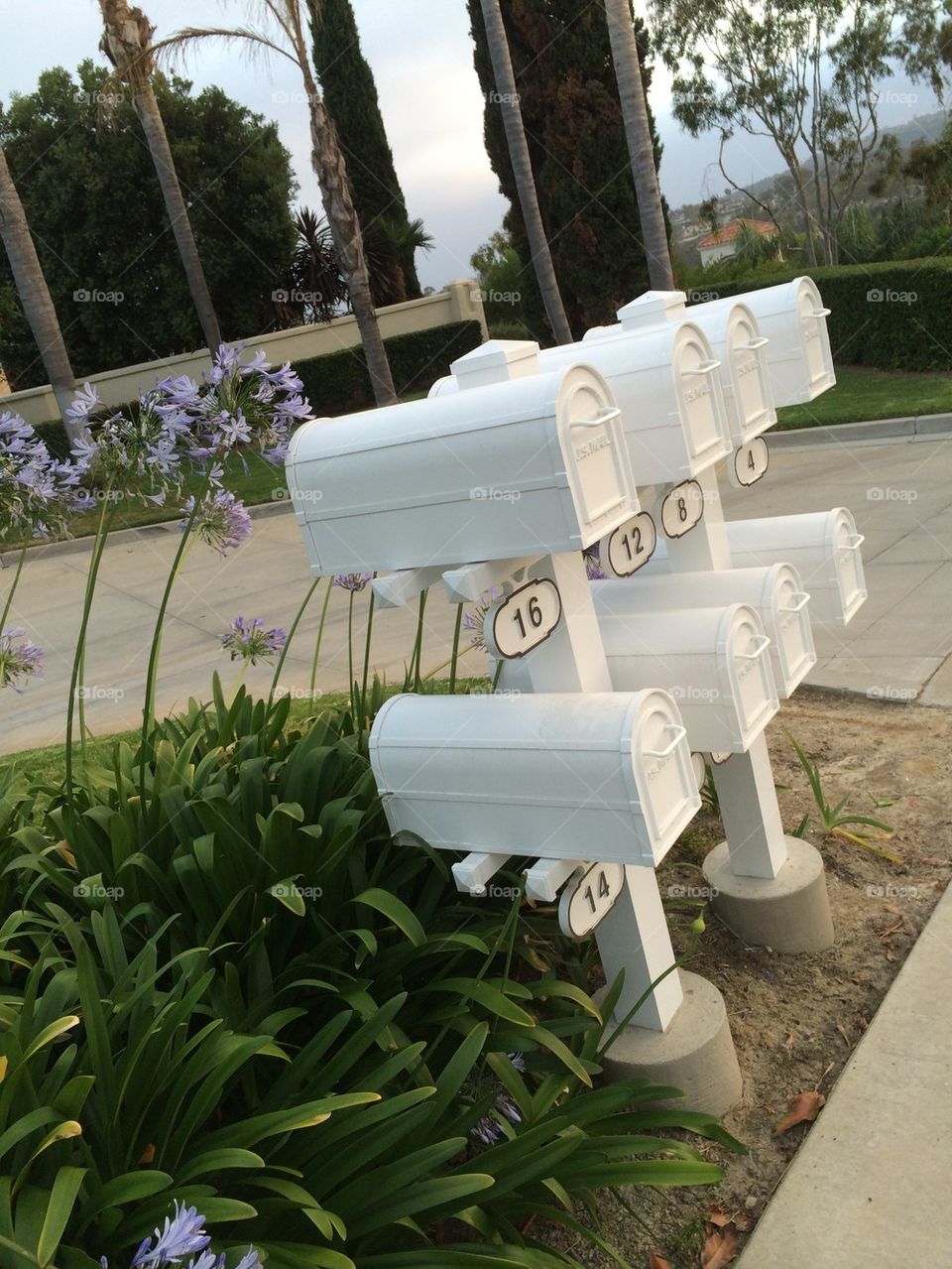 White mailboxes
