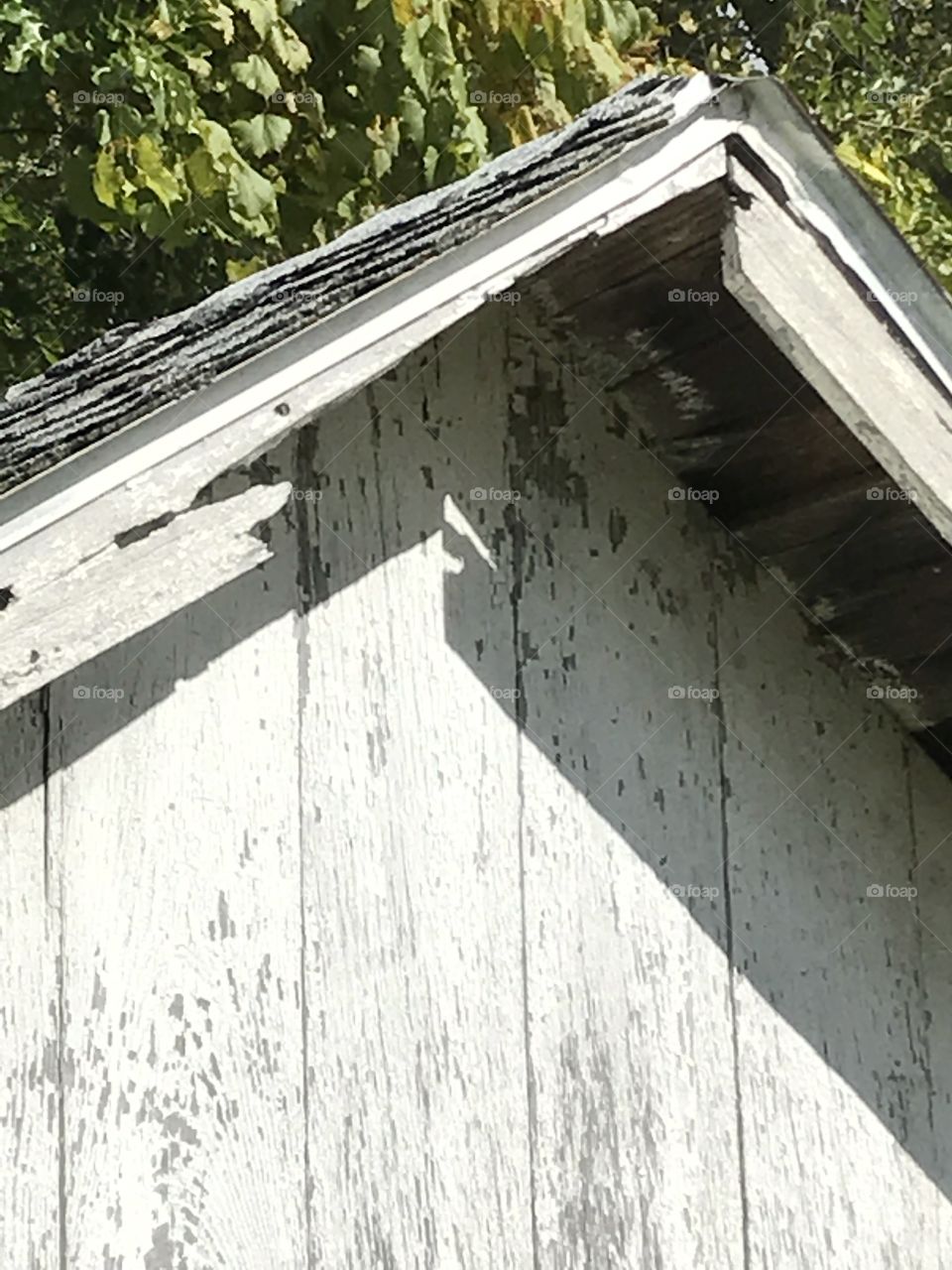 Peak of the roof of an old shed