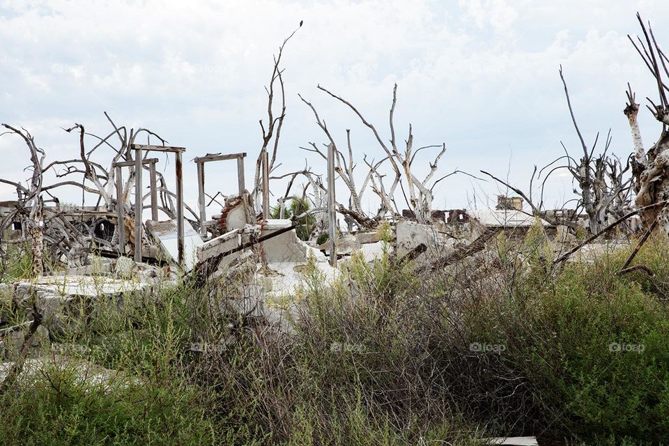 War, destruction and abandonment