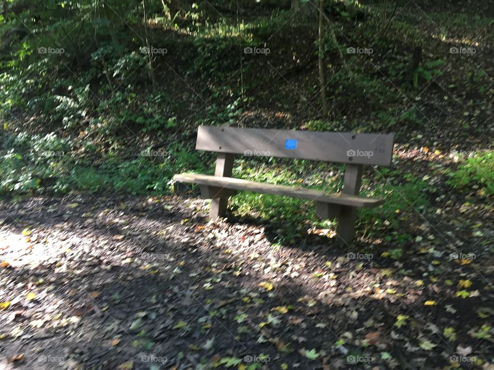 Autumn takes a rest.
