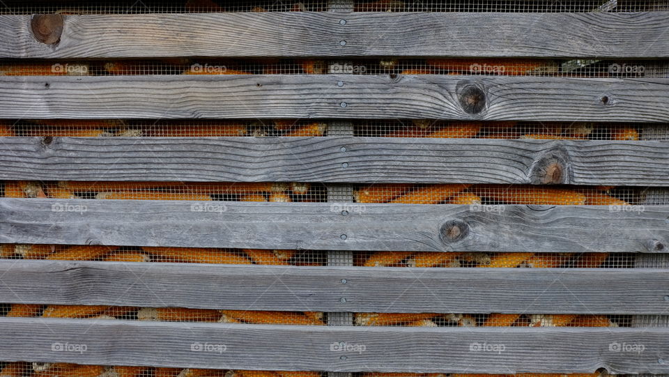 Drying corn in a mesh and wood storage unit