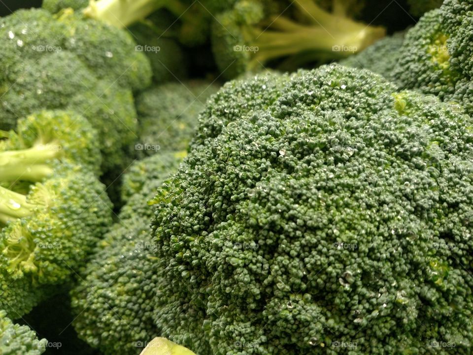 Close up green broccoli.