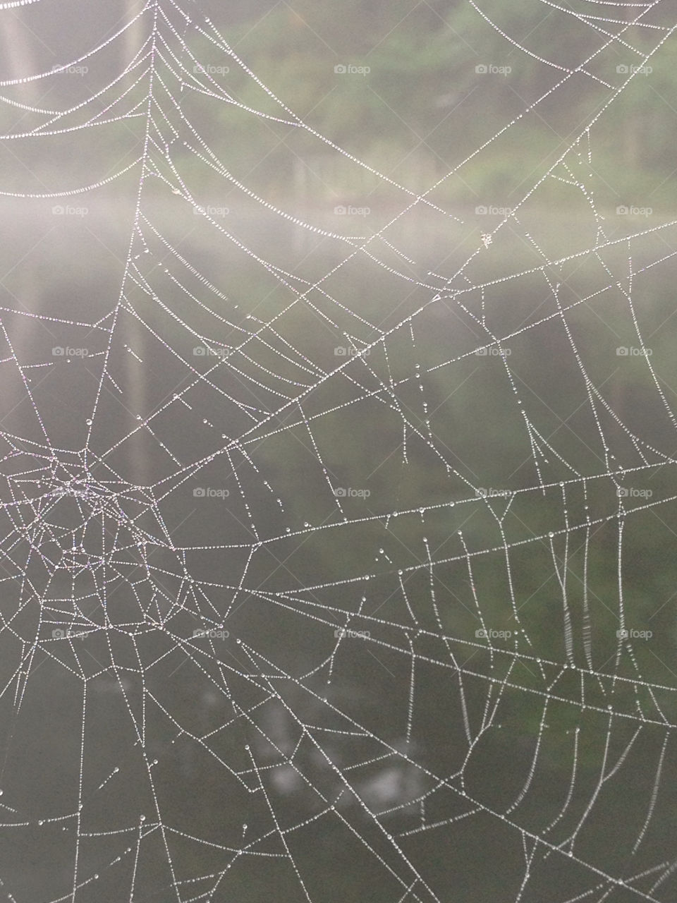nature lake spiderweb by deemaabd