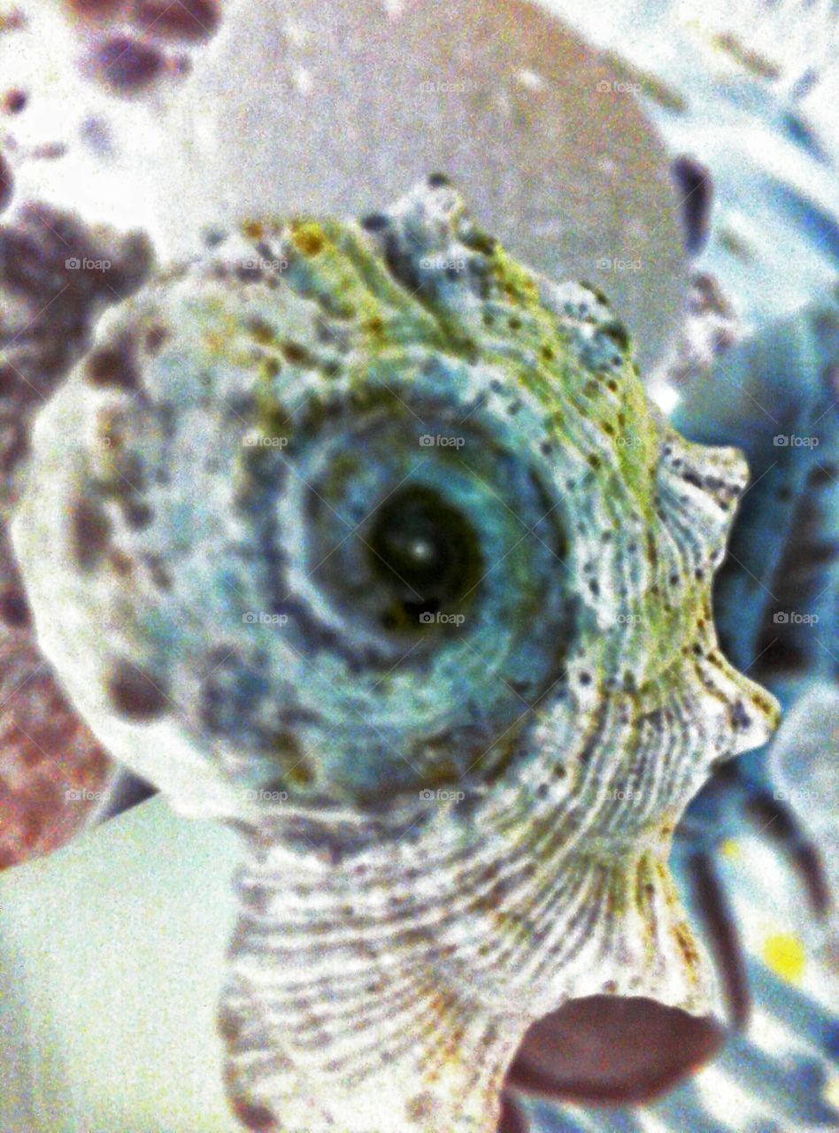 twisted color inversion