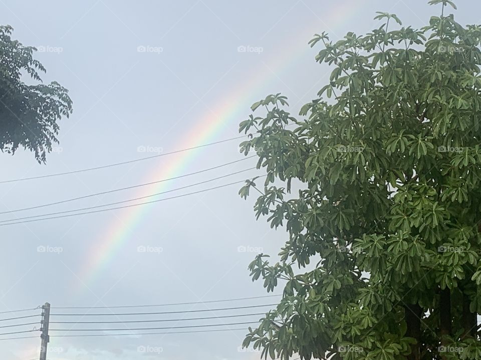 Rainbow around everywhere, Countryside (Thailand )