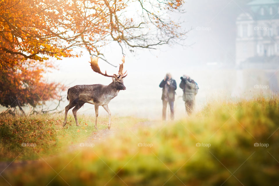 Autumn photographing