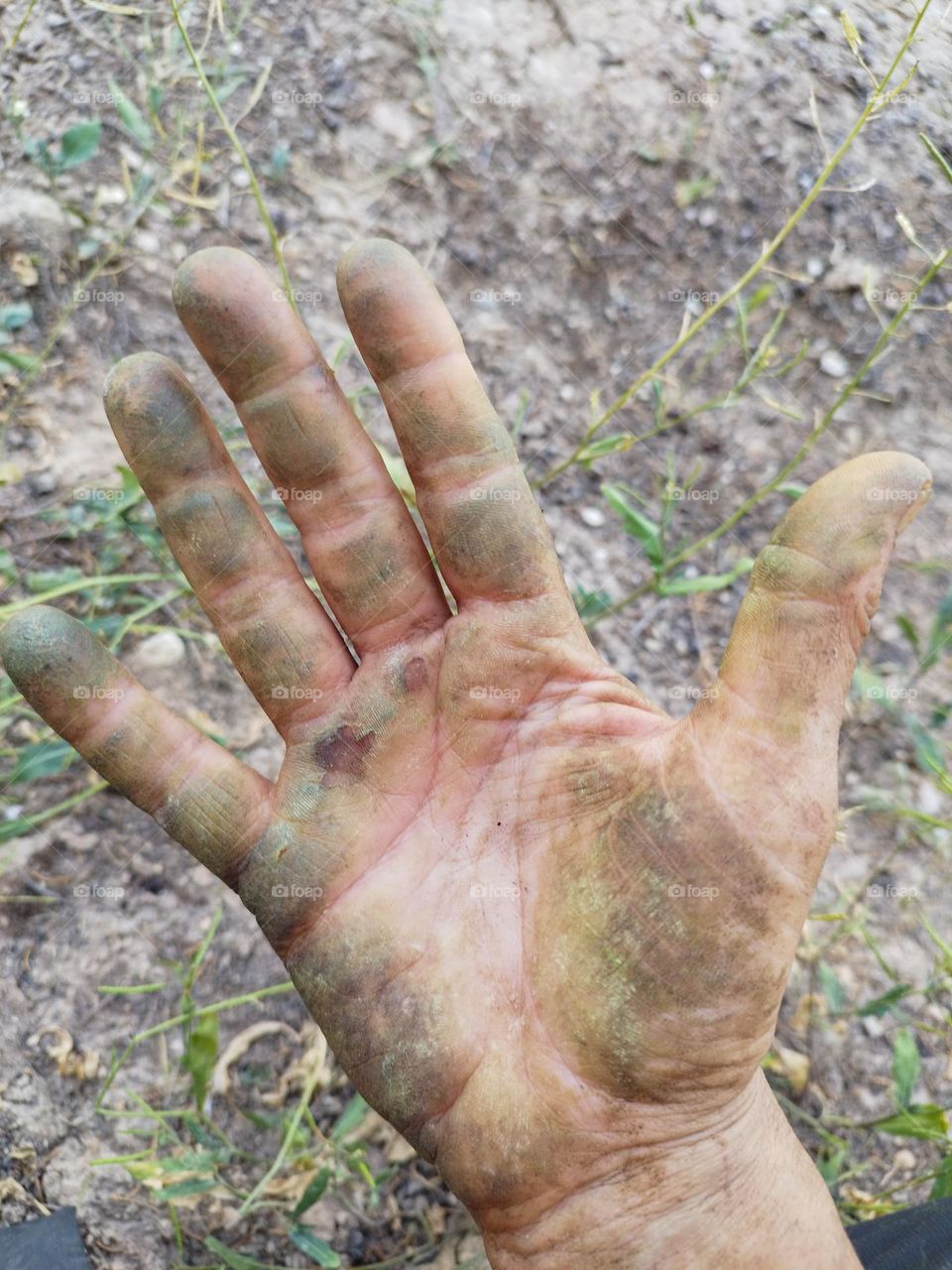 hand photography, field worker