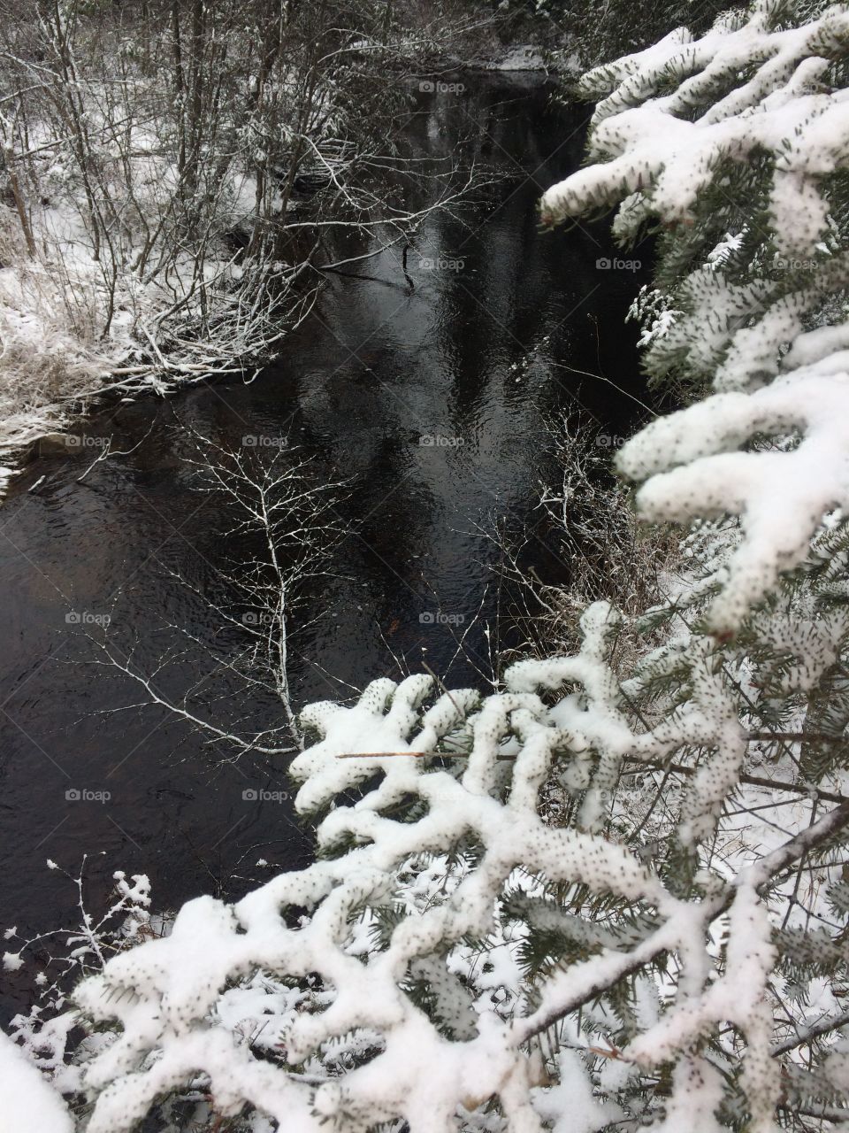 Brook in the woods after the first snow fall 