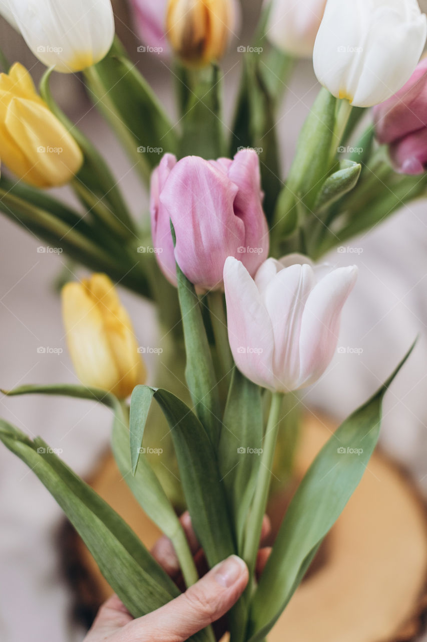 bouquet of spring tulips