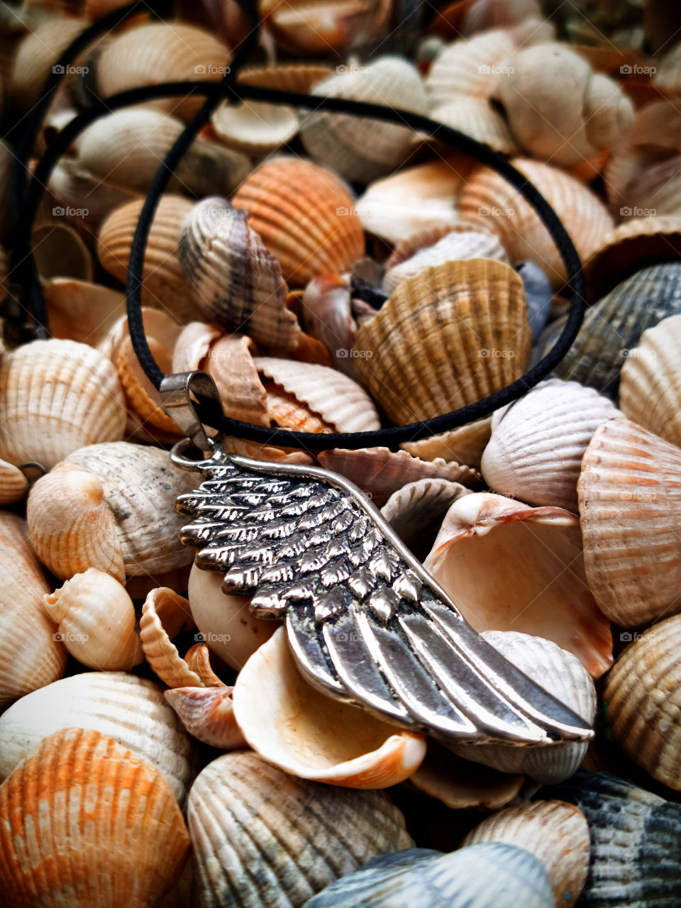 Metal pendant in the shape of an angel's wing that lies on seashells