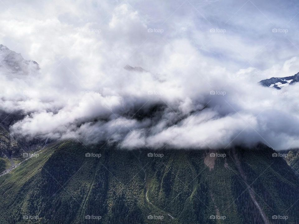 Nature eco focus day part sun sunny travel Light reys trip tree bush skyline clouds moody nature greens fog foggy milky mountains hills field authentic unique