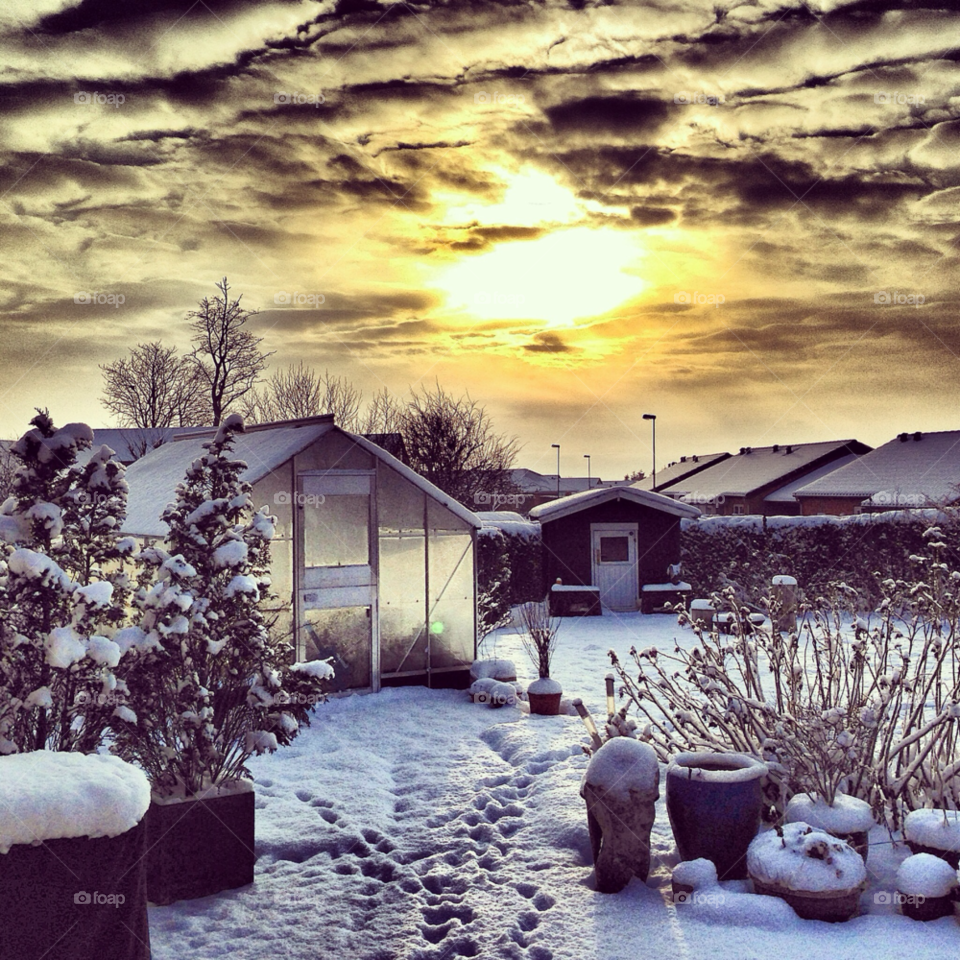 winter sky garden sun by lottegodte