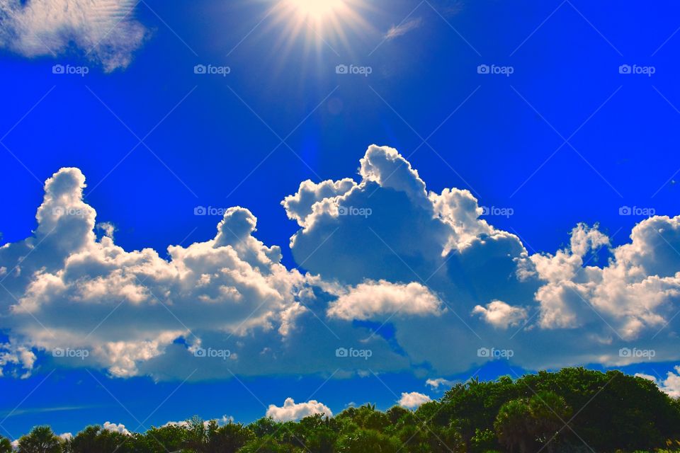 Sunshine on a cloudy day