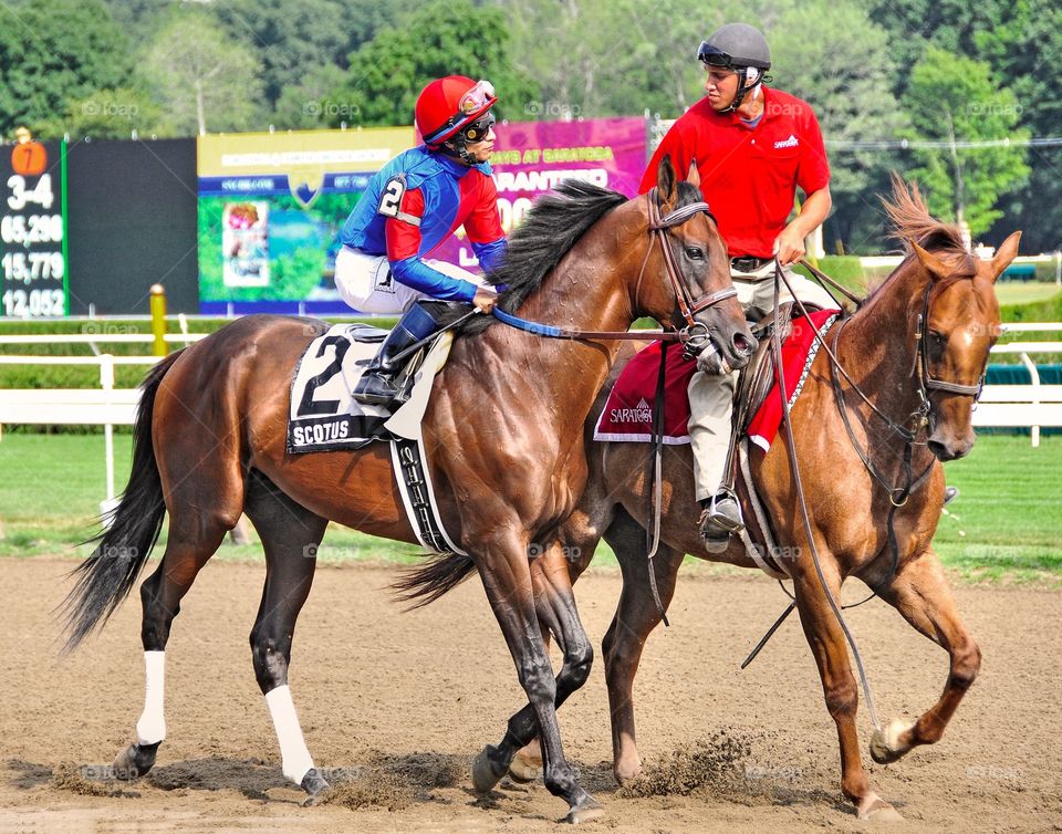 Scotus by AP Indy. The gorgeous Scotus a descendant of Triple Crown winner Seattle Slew ridden by jockey Alan Garcia at Saratoga. 