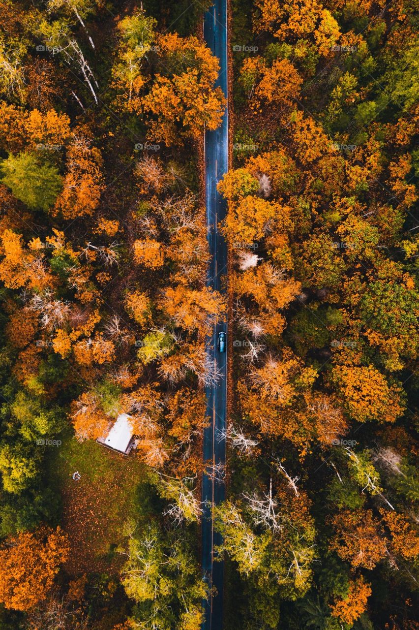 Falling For This Season