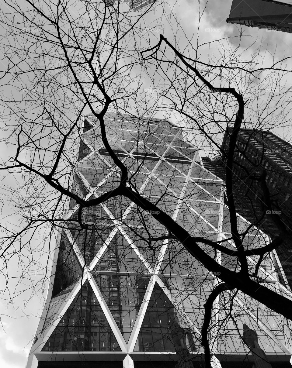 Geometry black and white building, sky, clouds, trees in front of the building. Afternoon. Nature.