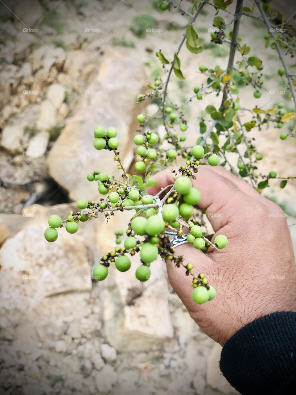 Spring is so beautiful 🥺