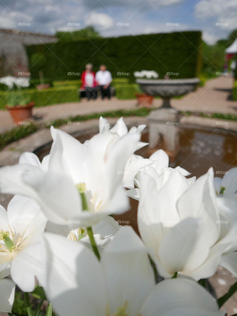 Garden. Stately home 