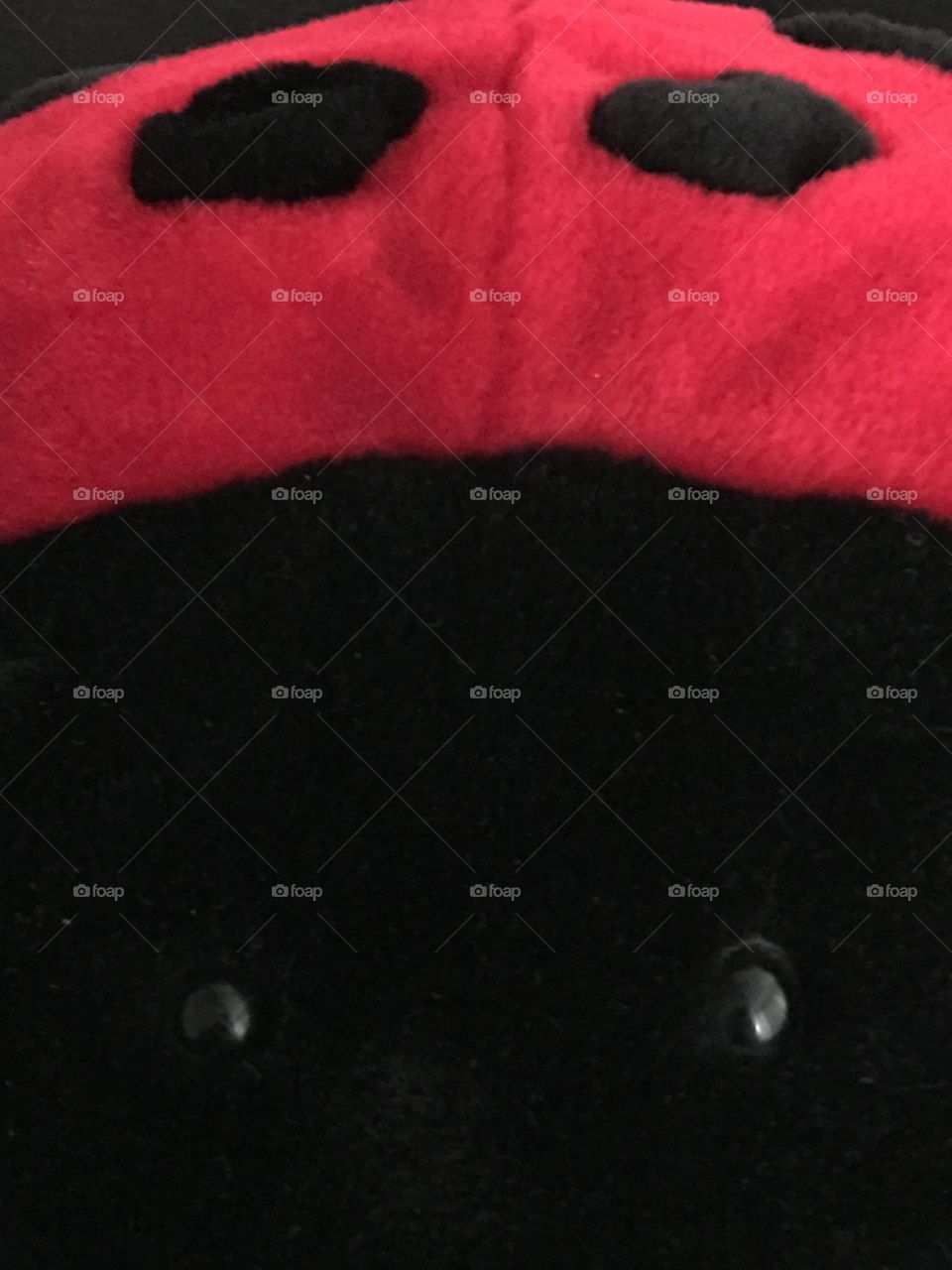 Close up ladybird plush