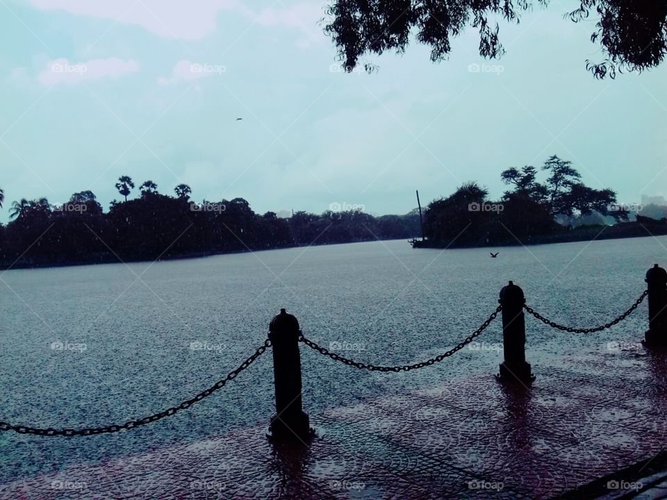 Beautiful Raining in Lake