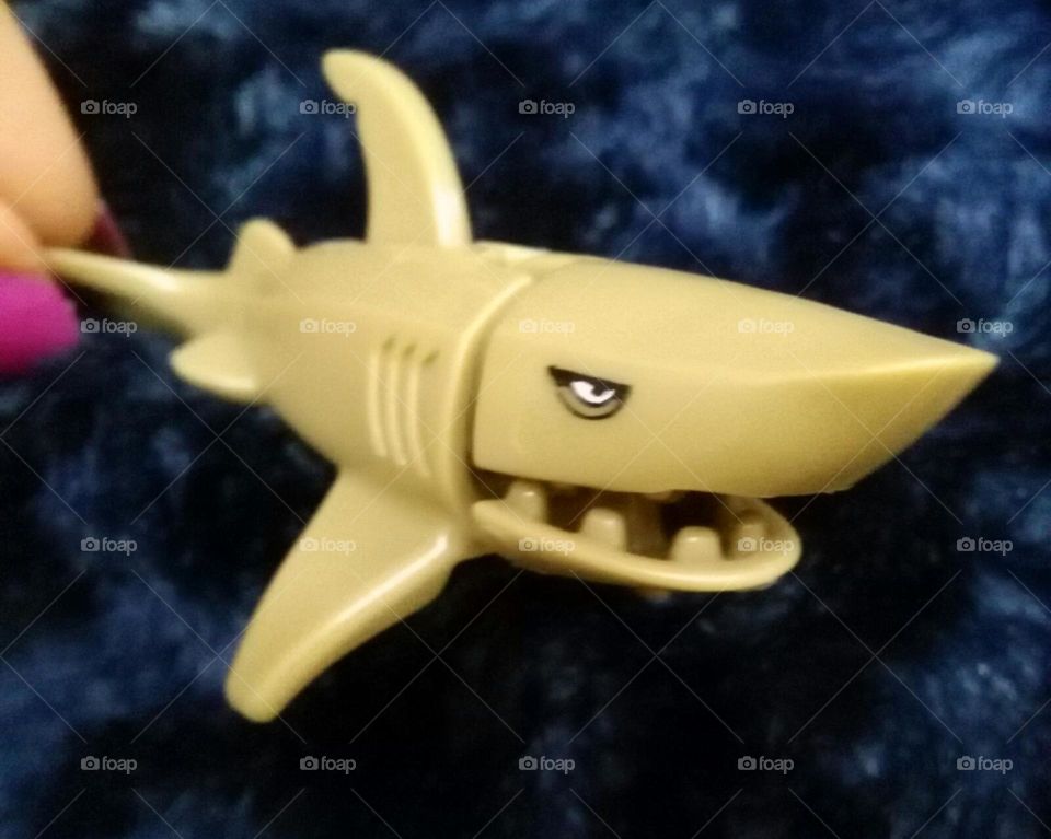 kinfer suprise shark