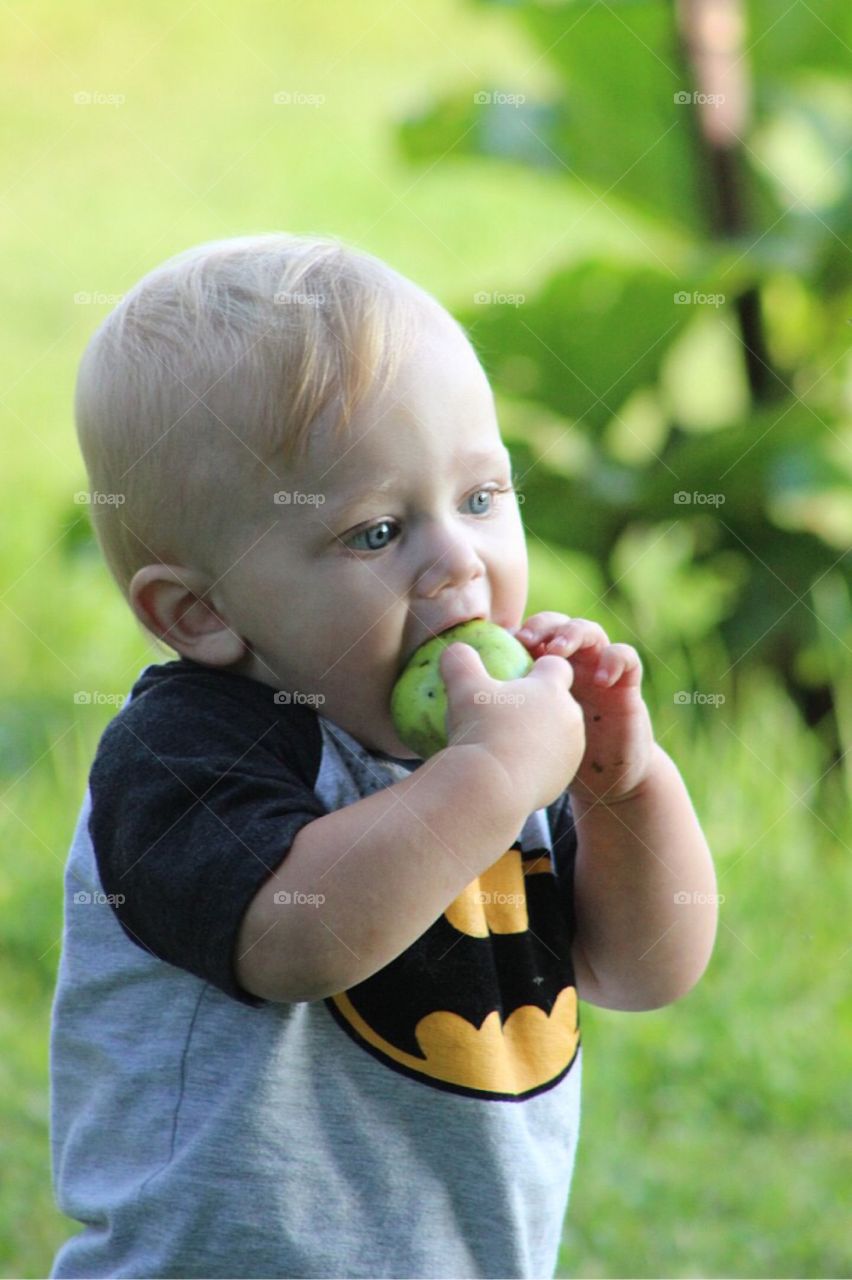 Baby eating fruit