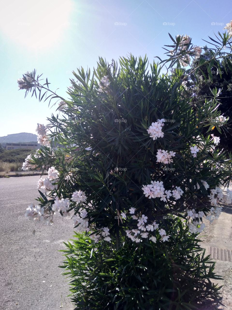 Editors' Choice - Photo of the Week