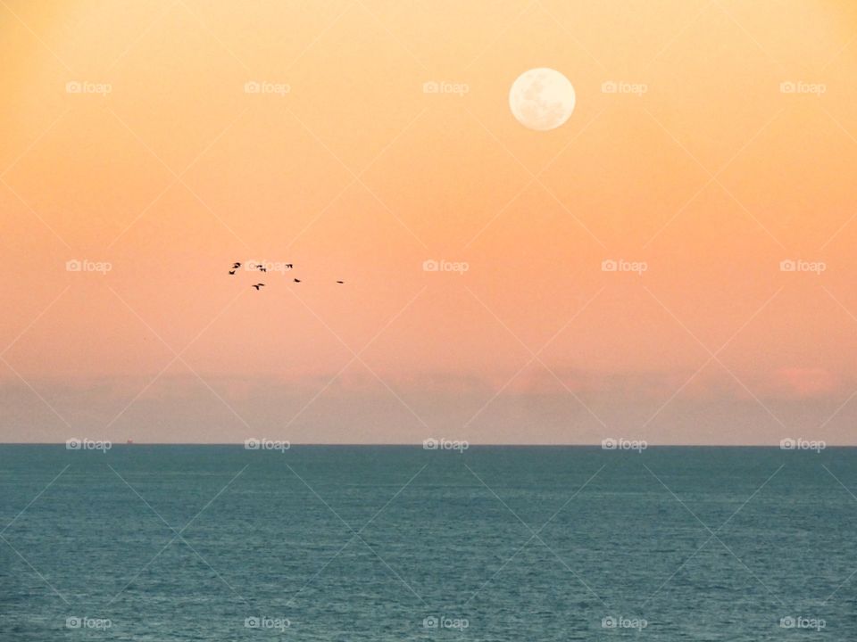Sunset view from the beach. The full moon illuminating the sky and birds complementing the landscape. The harmony of nature 