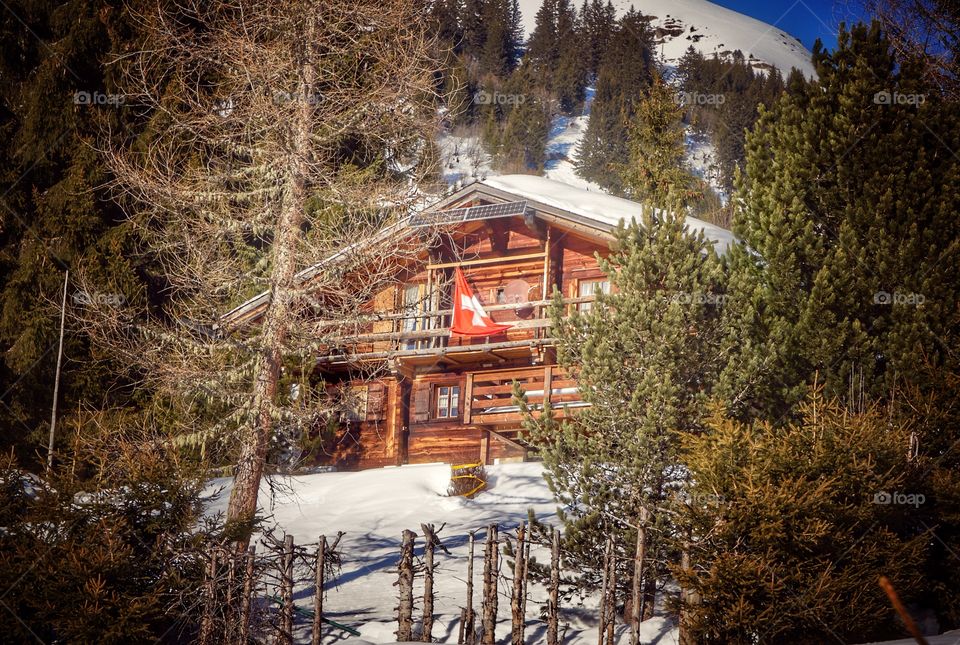 Swiss chalet
