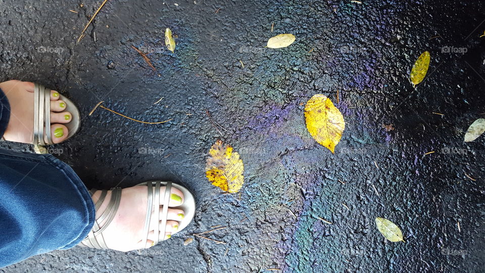 Standing on oil slicked asphalt covered in yellow autumn leaves.