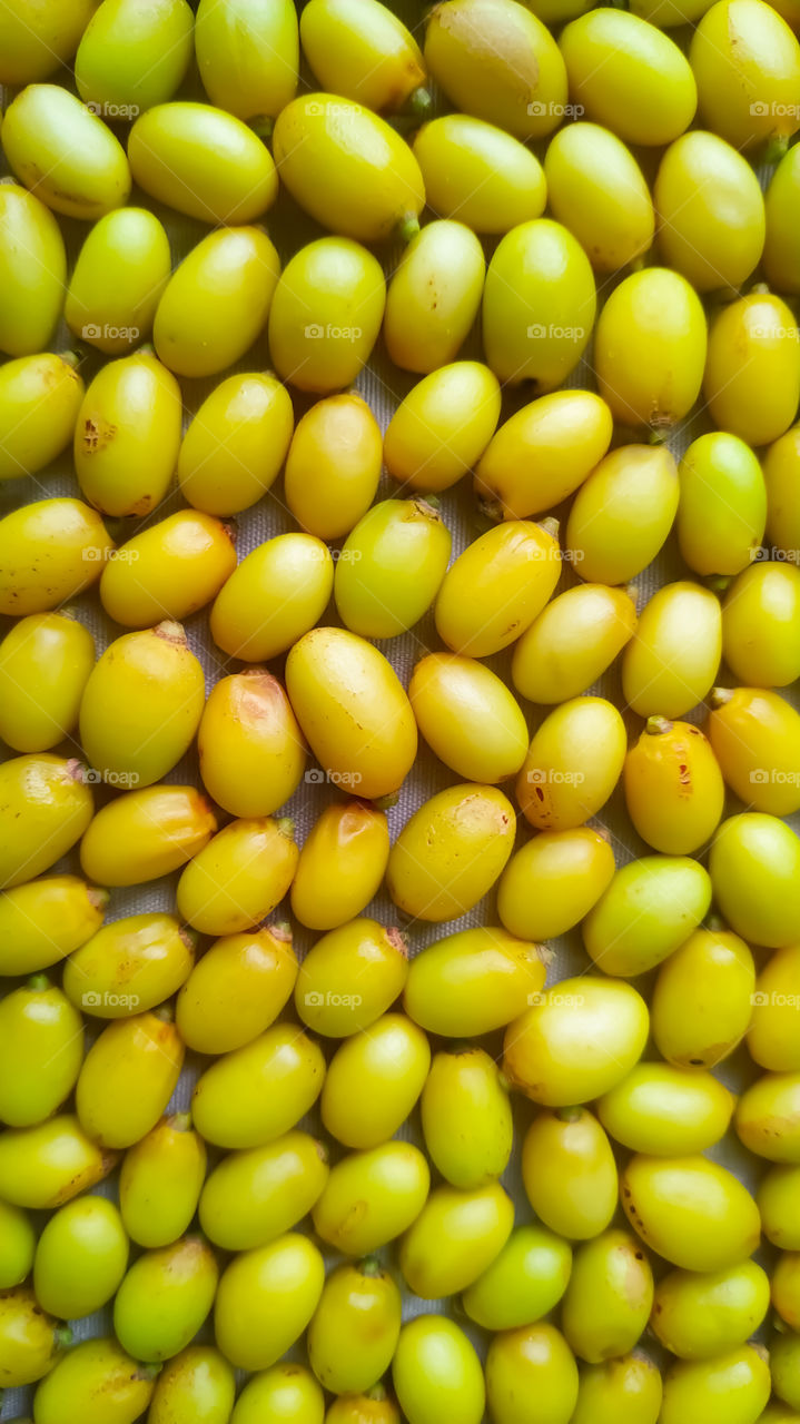 Neem fruits as full frame background texture