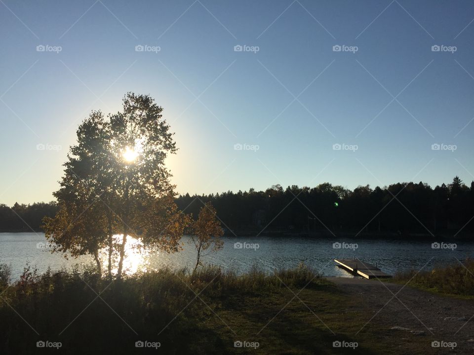 Sunset over Dock