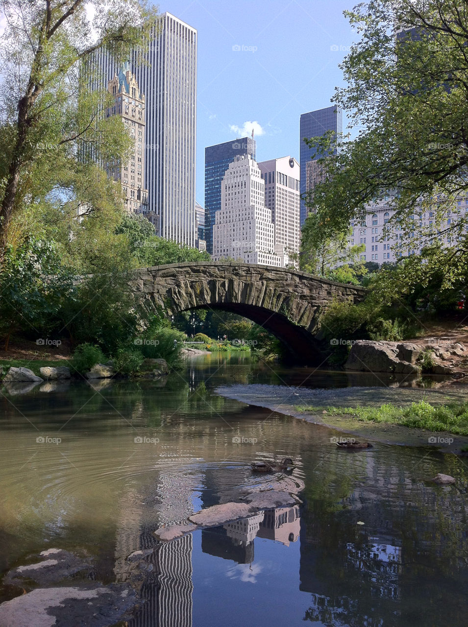 pond bridge nyc new york city by centenoj