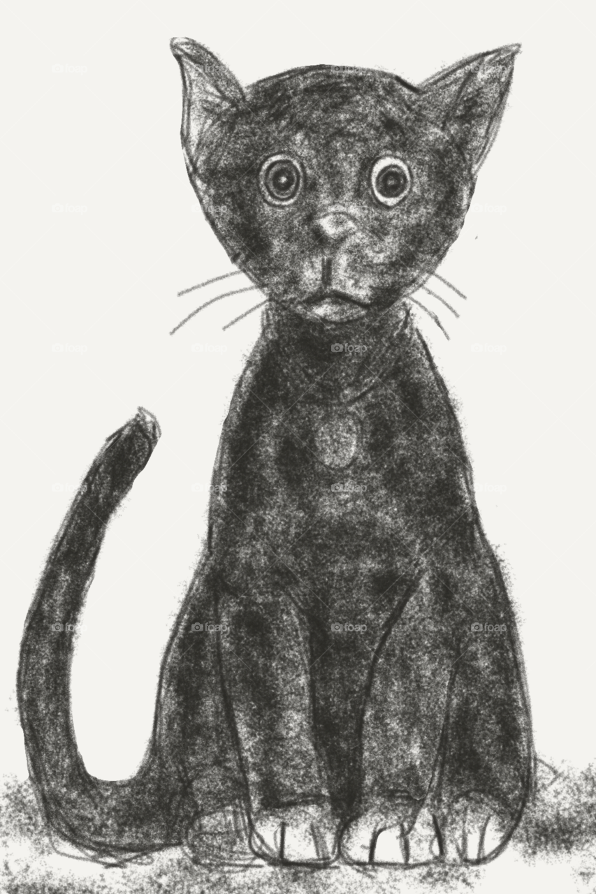 a small black cat