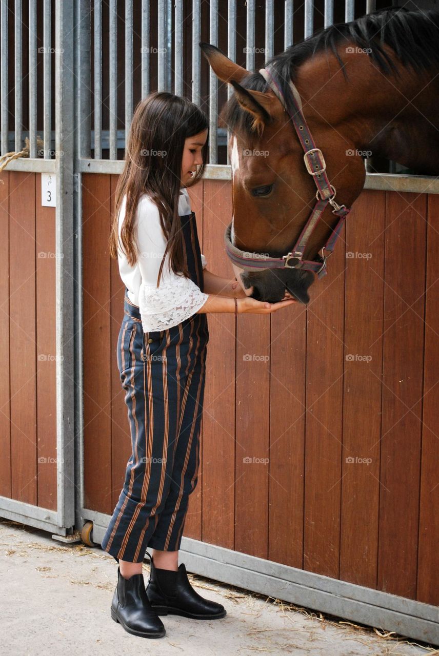 Teenage girl feeding her horse in a stable