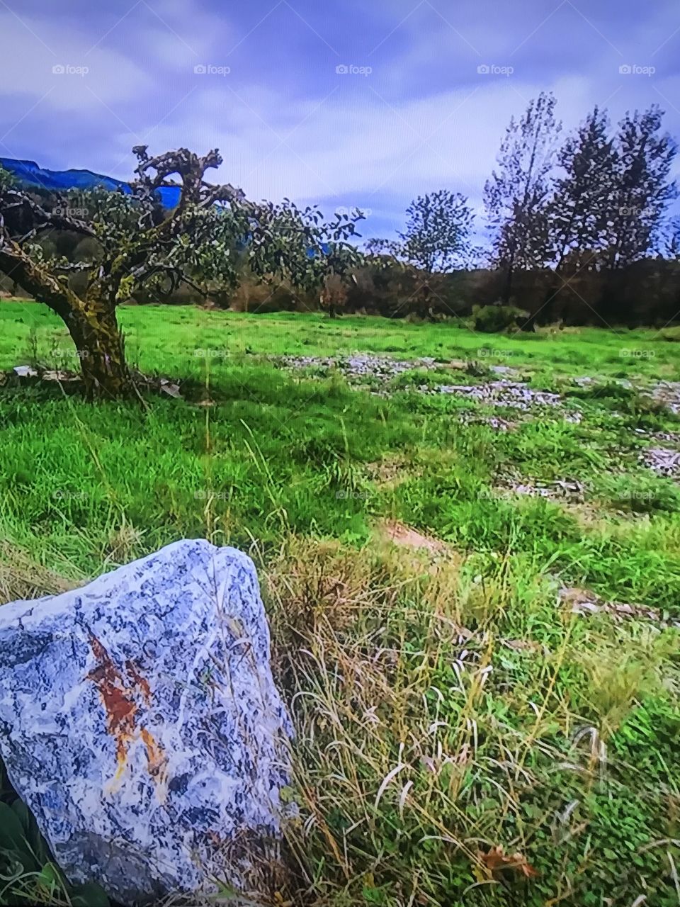Green Valley in North hemisphere 