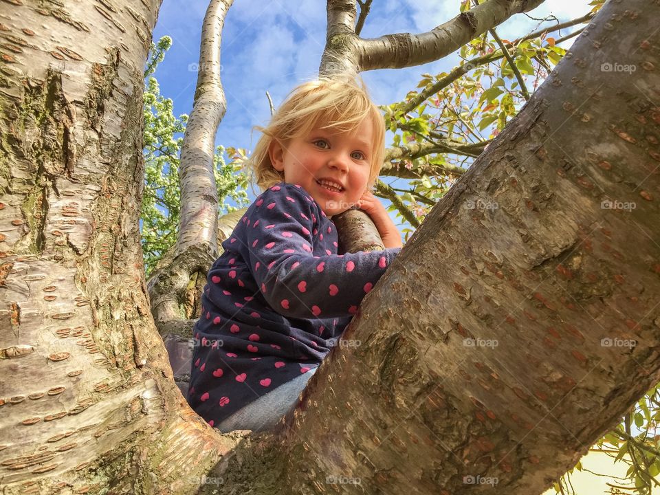 Three year old girl is smiling to the camera when she is climbing a tree in Malmö Sweden.