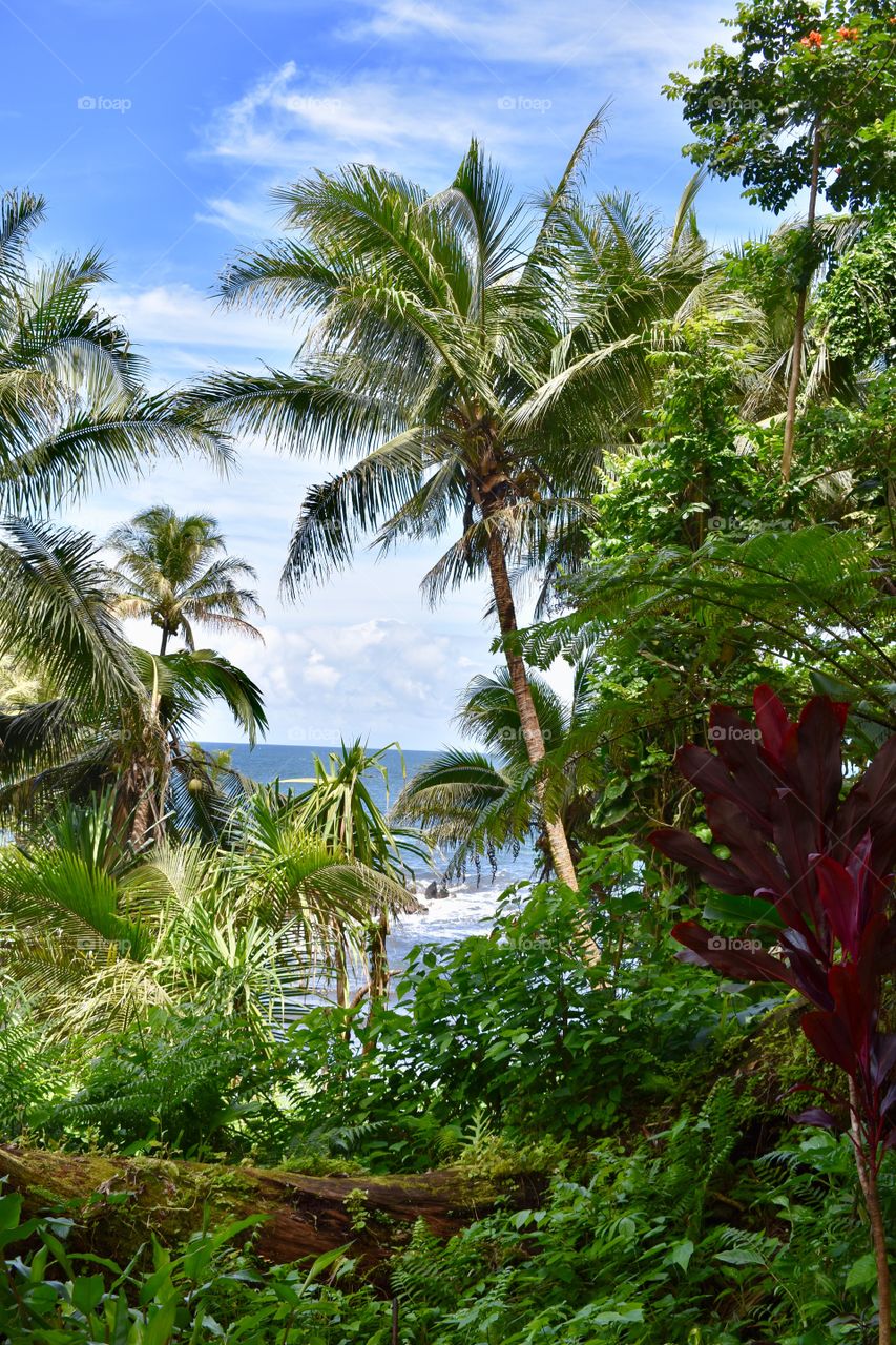 View of the ocean on a beautiful blue sky day on the Big Island of Hawaii