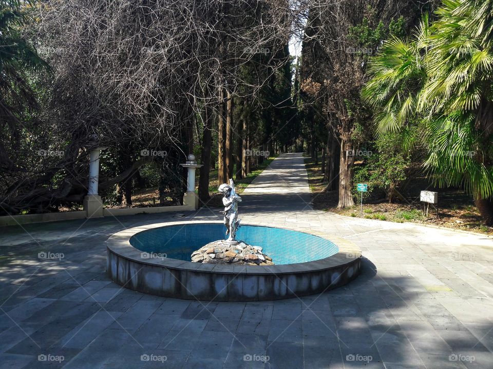 Spring flowers wild nature greens outdoor plant flower beauty