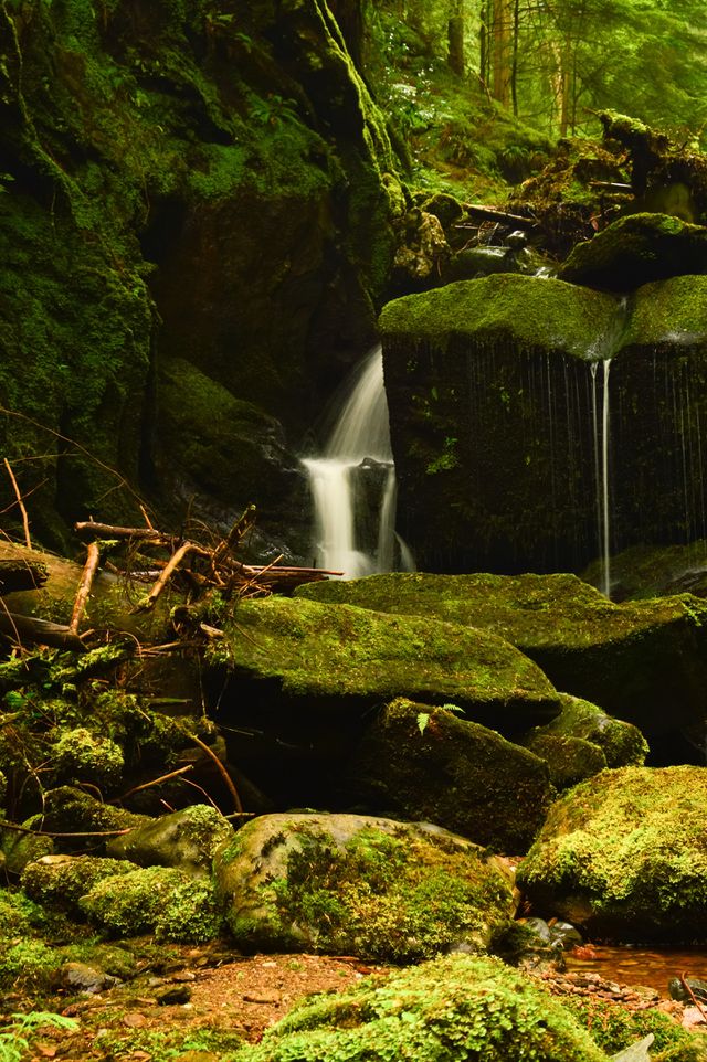 View of waterfall