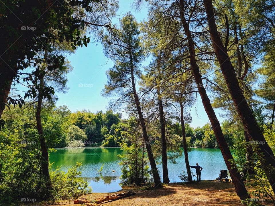 man seen from behind leaning against a tree admiring the lake