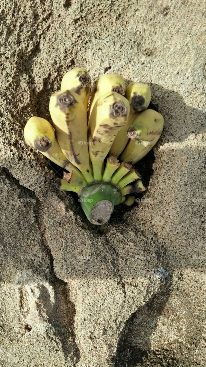 Bananas into cave