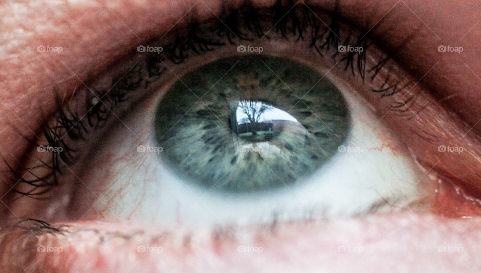 Close-up of human eye