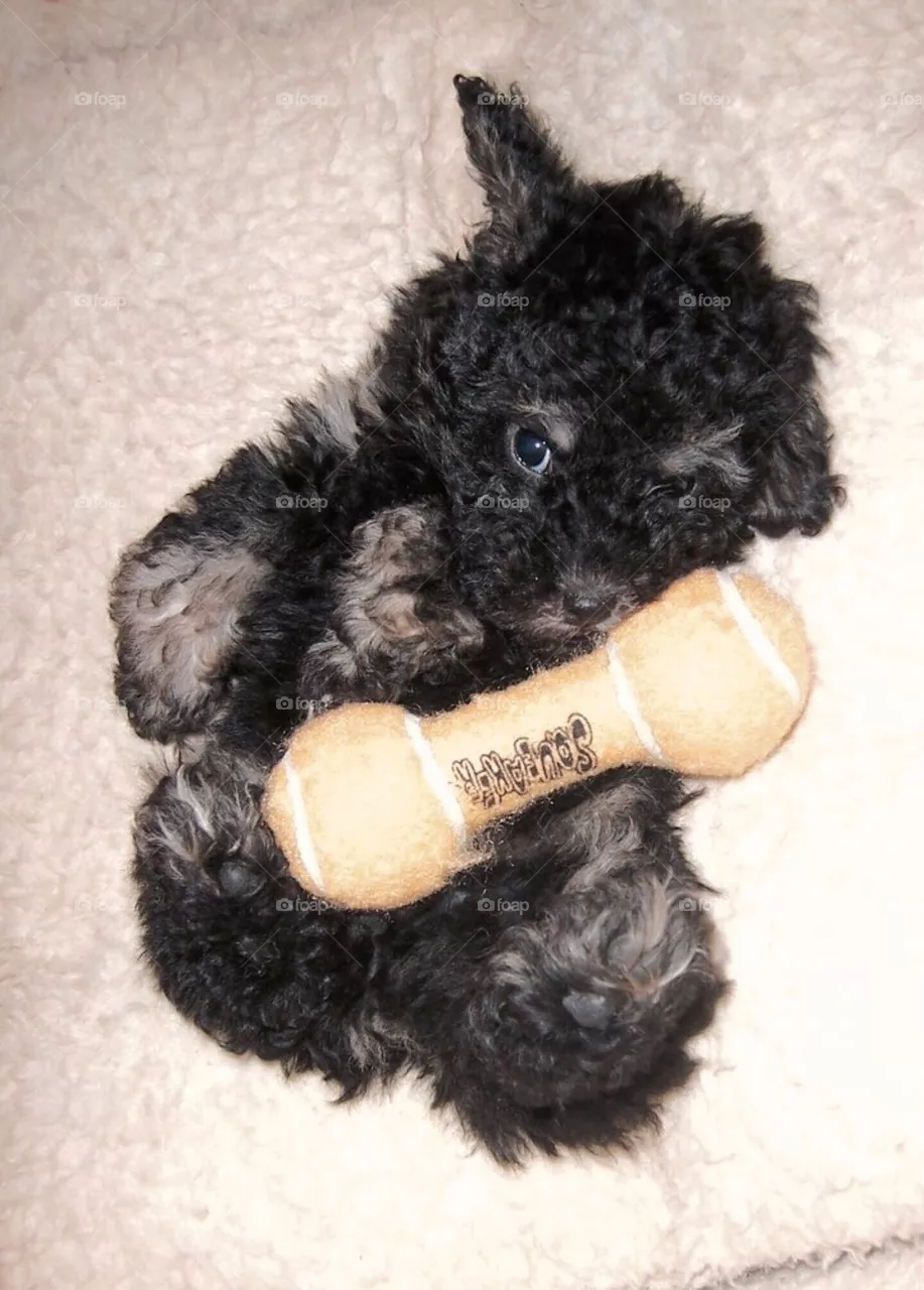 First toy