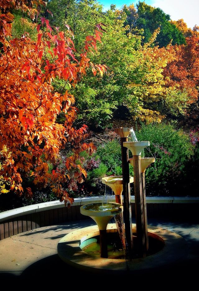 yellow red color orange by portugala