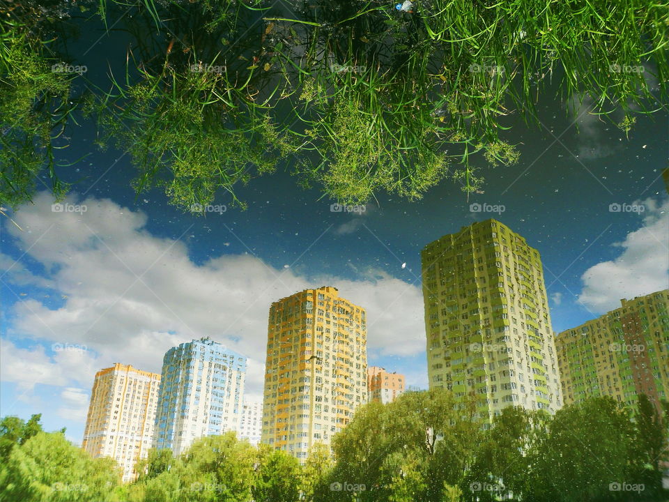 mirror image of houses in the lake of the park of the city of Kiev