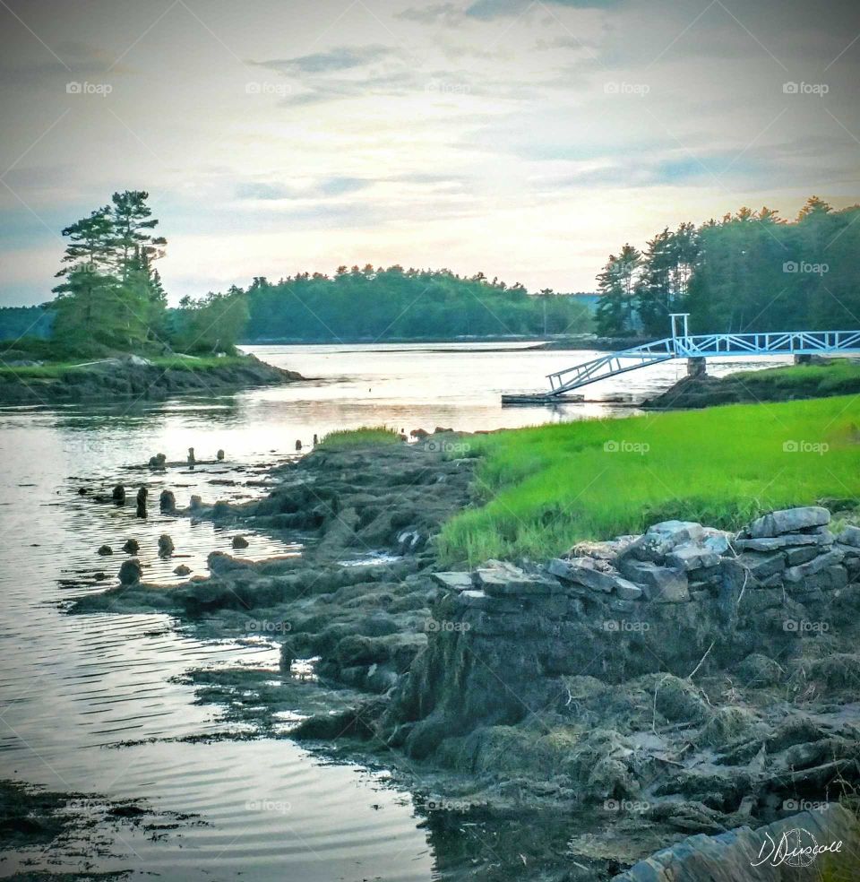 Beautiful Maine Coast