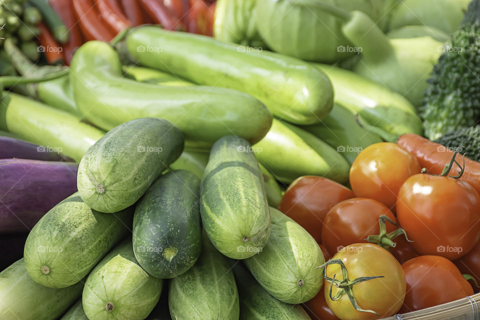 Tomato , Cucumber , eggplant  and red chilli The native vegetation of Thailand