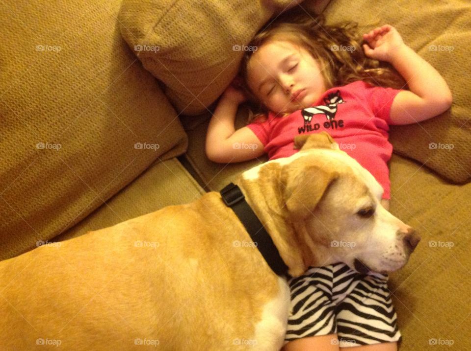 Toddler and Pit Bull