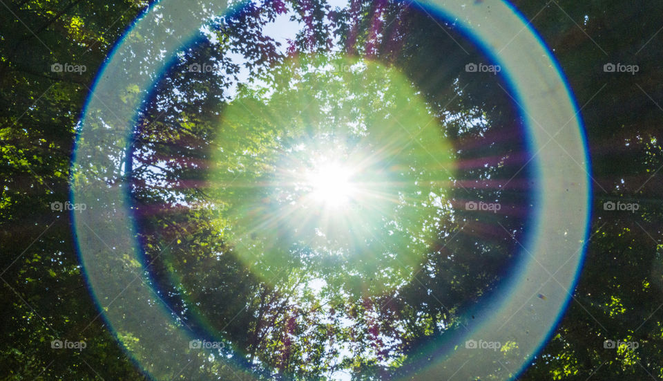 A beautiful sunglare of perfect circles come from the tree tops of a forest in summer